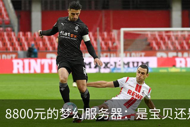 8800元的梦幻服务器：是宝贝还是坑？